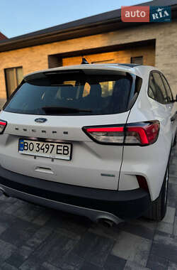Внедорожник / Кроссовер Ford Escape 2019 в 