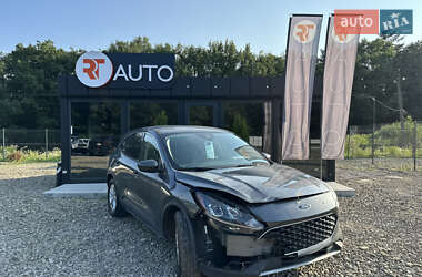 Внедорожник / Кроссовер Ford Escape 2020 в 