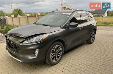 Позашляховик / Кросовер Ford Escape 2019 в Івано-Франківську