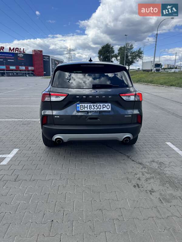 Внедорожник / Кроссовер Ford Escape 2020 в Киеве
