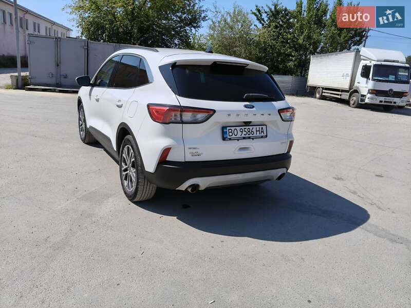 Внедорожник / Кроссовер Ford Escape 2019 в Тернополе