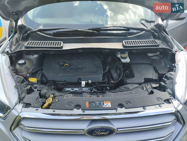 Внедорожник / Кроссовер Ford Escape 2018 в Хмельницком