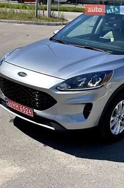 Внедорожник / Кроссовер Ford Escape 2021 в 