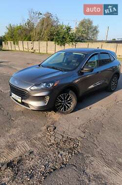 Внедорожник / Кроссовер Ford Escape 2022 в 