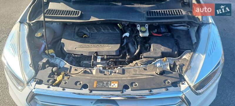 Внедорожник / Кроссовер Ford Escape 2016 в Любомле