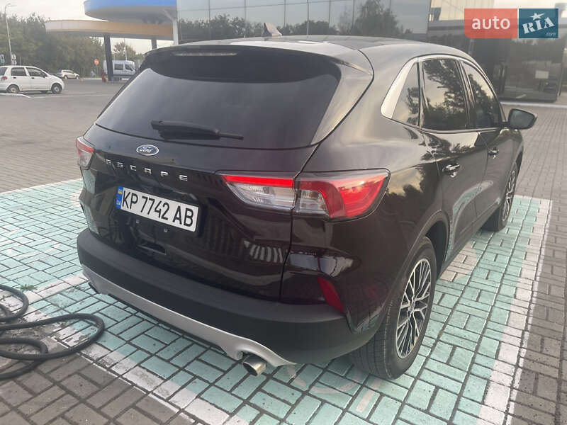 Внедорожник / Кроссовер Ford Escape 2022 в Киеве фото 9 Внедорожник / Кроссовер Ford Escape 2022 в Киеве