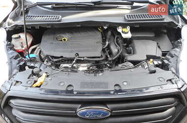Внедорожник / Кроссовер Ford Escape 2017 в 