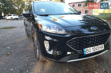Внедорожник / Кроссовер Ford Escape 2019 в Тернополе