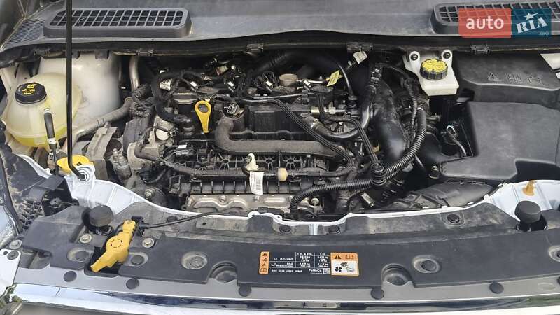 Внедорожник / Кроссовер Ford Escape 2019 в Киеве