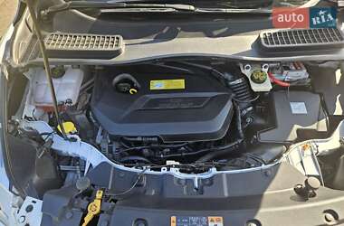 Внедорожник / Кроссовер Ford Escape 2014 в 