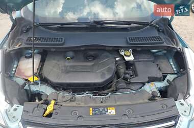 Внедорожник / Кроссовер Ford Escape 2013 в 