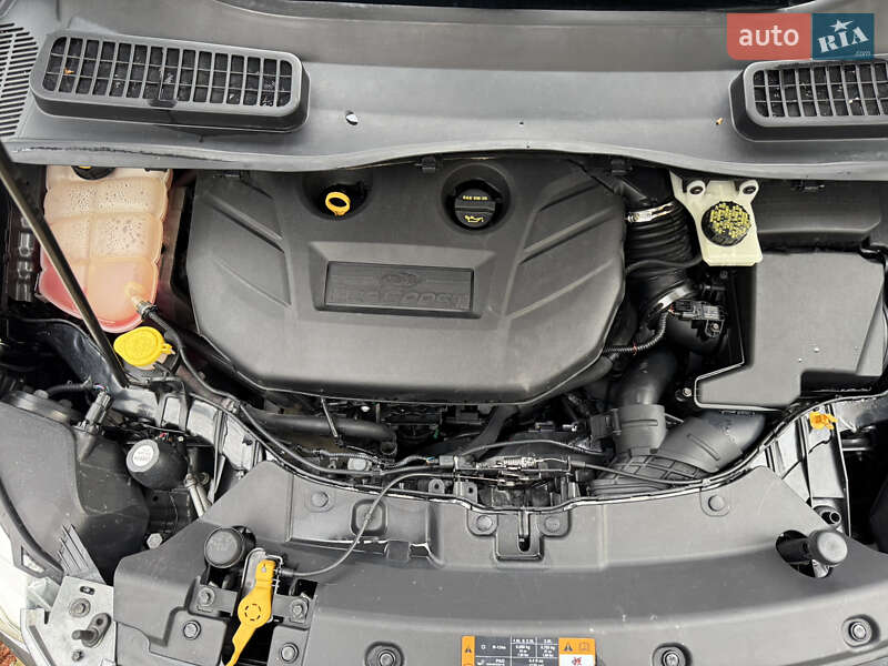 Внедорожник / Кроссовер Ford Escape 2013 в Тернополе