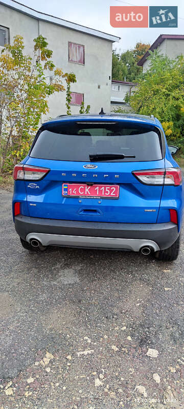 Внедорожник / Кроссовер Ford Escape 2020 в Тернополе фото 30 Внедорожник / Кроссовер Ford Escape 2020 в Тернополе