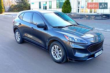 Внедорожник / Кроссовер Ford Escape 2020 в Шостке