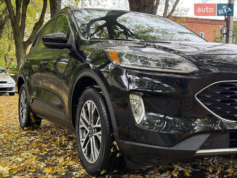Внедорожник / Кроссовер Ford Escape 2020 в Львове фото 10 Внедорожник / Кроссовер Ford Escape 2020 в Львове