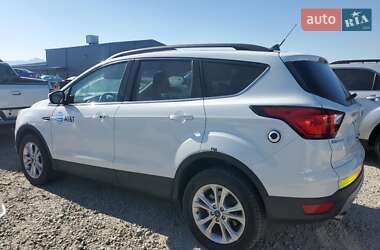 Позашляховик / Кросовер Ford Escape 2019 в  фото 2 Позашляховик / Кросовер Ford Escape 2019 в