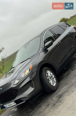 Позашляховик / Кросовер Ford Escape 2019 в  фото 41 Позашляховик / Кросовер Ford Escape 2019 в