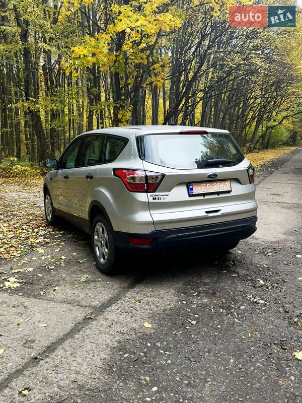 Внедорожник / Кроссовер Ford Escape 2018 в Остроге фото 14 Внедорожник / Кроссовер Ford Escape 2018 в Остроге