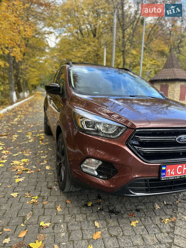 Позашляховик / Кросовер Ford Escape 2018 в Чернівцях