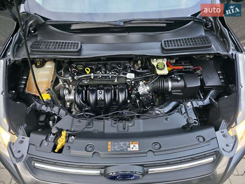 Позашляховик / Кросовер Ford Escape 2016 в Хмельницькому фото 55 Позашляховик / Кросовер Ford Escape 2016 в Хмельницькому