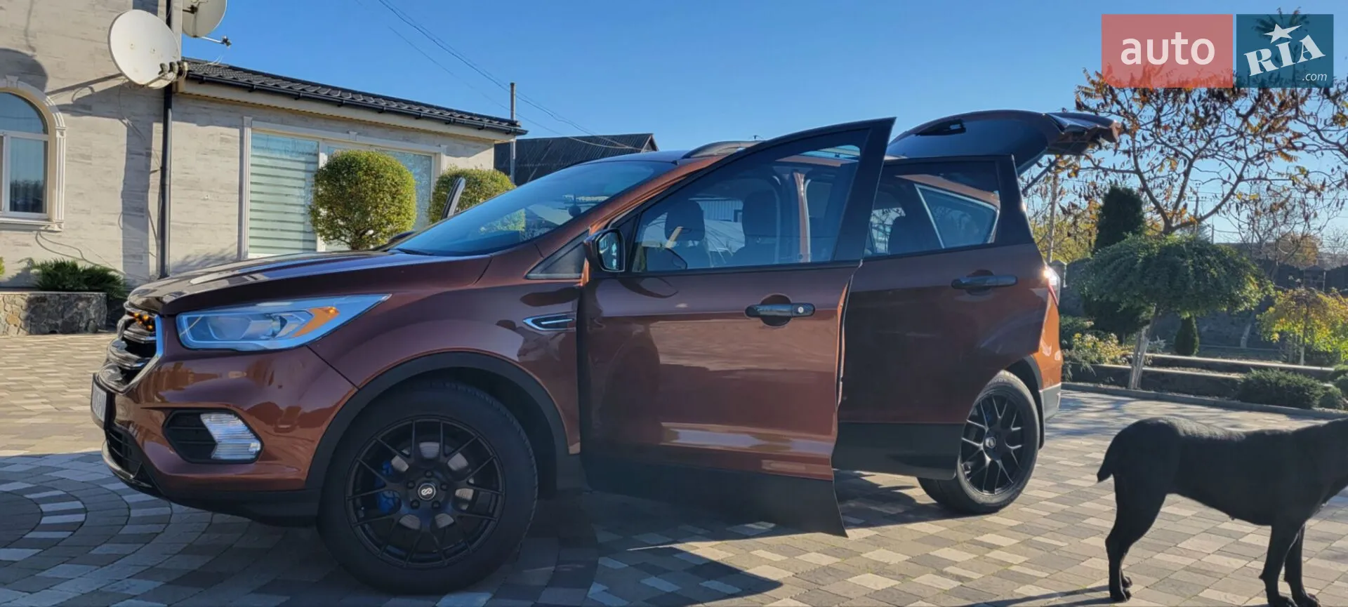 2016 Ford Escape - мініатюра 10