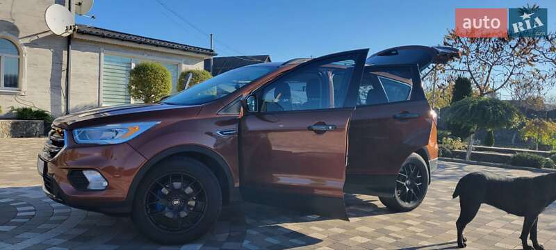 Внедорожник / Кроссовер Ford Escape 2016 в Гайвороне фото 10 Внедорожник / Кроссовер Ford Escape 2016 в Гайвороне
