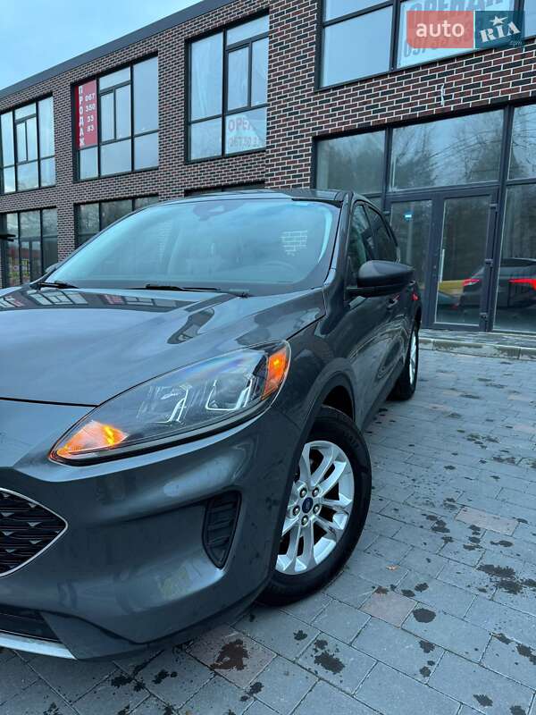 Внедорожник / Кроссовер Ford Escape 2021 в Тернополе фото 2 Внедорожник / Кроссовер Ford Escape 2021 в Тернополе