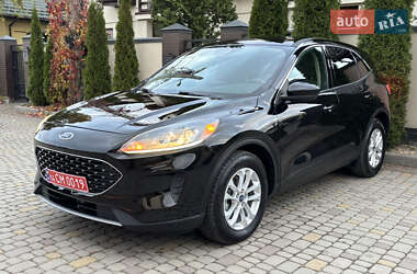 Внедорожник / Кроссовер Ford Escape 2020 в Львове