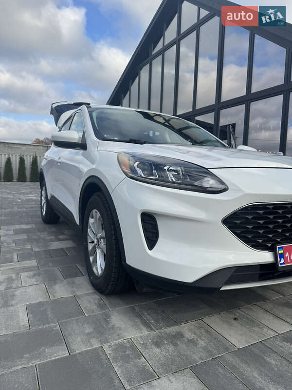 Позашляховик / Кросовер Ford Escape 2021 в Львові