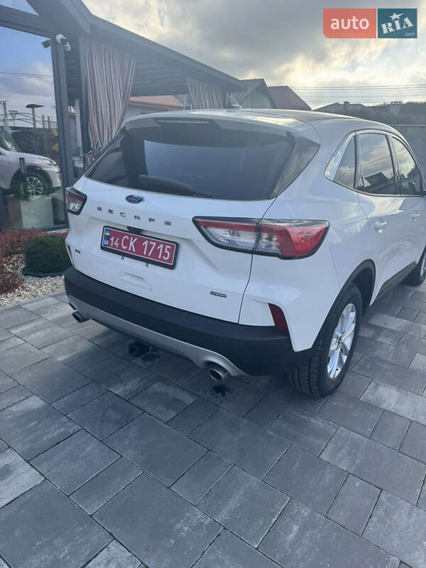 Позашляховик / Кросовер Ford Escape 2021 в Львові