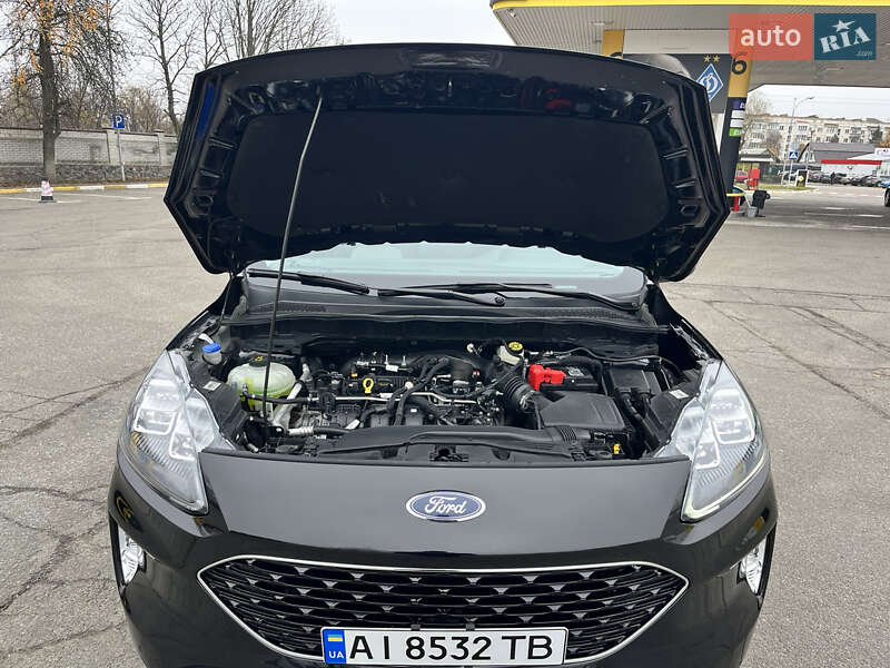 Внедорожник / Кроссовер Ford Escape 2022 в Василькове фото 59 Внедорожник / Кроссовер Ford Escape 2022 в Василькове