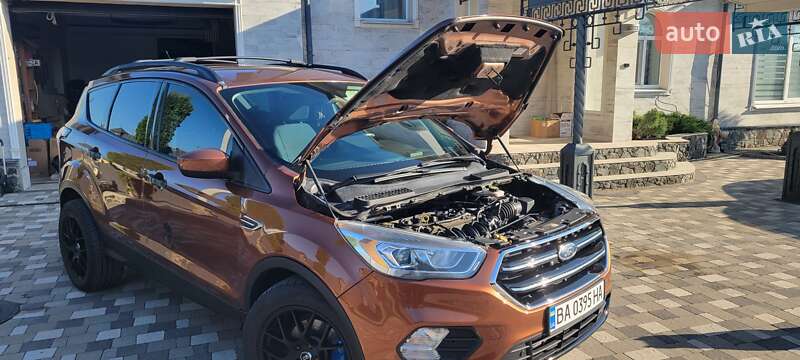 Внедорожник / Кроссовер Ford Escape 2016 в Гайвороне фото 47 Внедорожник / Кроссовер Ford Escape 2016 в Гайвороне