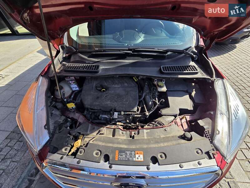 Внедорожник / Кроссовер Ford Escape 2017 в Львове фото 19 Внедорожник / Кроссовер Ford Escape 2017 в Львове