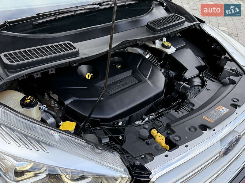 Внедорожник / Кроссовер Ford Escape 2018 в Дрогобыче фото 86 Внедорожник / Кроссовер Ford Escape 2018 в Дрогобыче