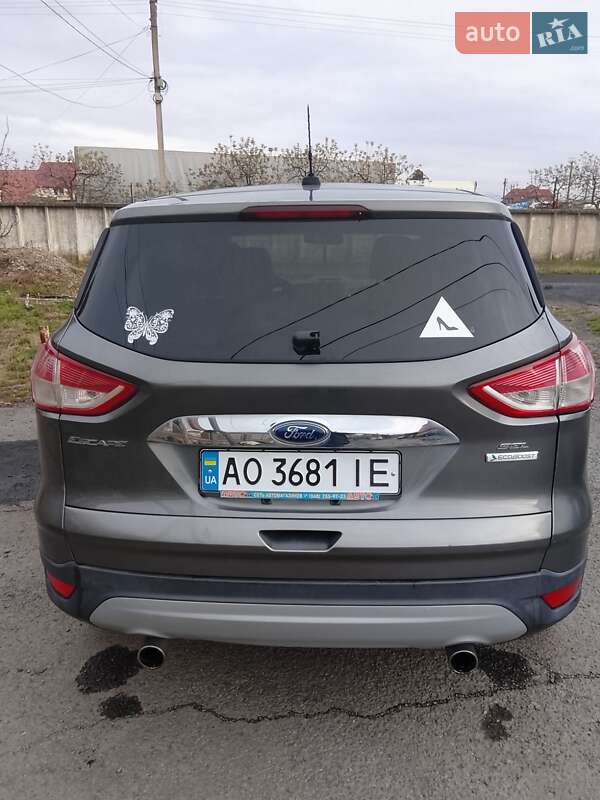 Внедорожник / Кроссовер Ford Escape 2013 в Иршаве