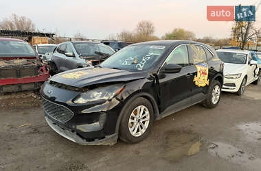 Внедорожник / Кроссовер Ford Escape 2022 в Львове