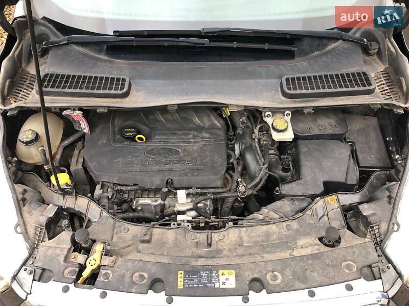 Внедорожник / Кроссовер Ford Escape 2016 в Ровно фото 20 Внедорожник / Кроссовер Ford Escape 2016 в Ровно