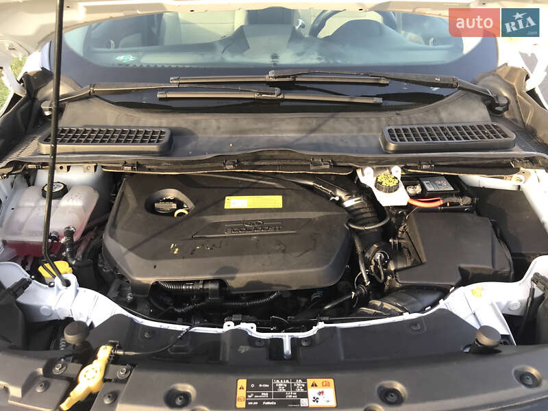 Внедорожник / Кроссовер Ford Escape 2013 в Окнах