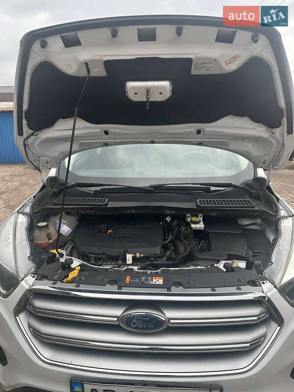Внедорожник / Кроссовер Ford Escape 2017 в Немирове фото 14 Внедорожник / Кроссовер Ford Escape 2017 в Немирове