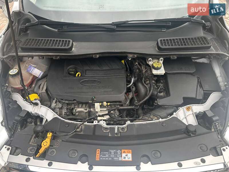 Внедорожник / Кроссовер Ford Escape 2017 в Немирове фото 15 Внедорожник / Кроссовер Ford Escape 2017 в Немирове