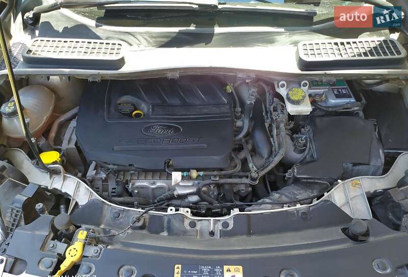 Внедорожник / Кроссовер Ford Escape 2017 в Ровно фото 30 Внедорожник / Кроссовер Ford Escape 2017 в Ровно