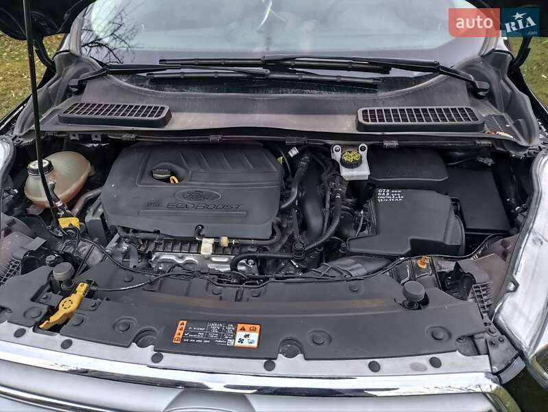 Внедорожник / Кроссовер Ford Escape 2018 в Косове