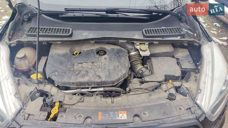 Позашляховик / Кросовер Ford Escape 2016 в Львові