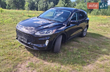 Позашляховик / Кросовер Ford Escape 2019 в Одесі