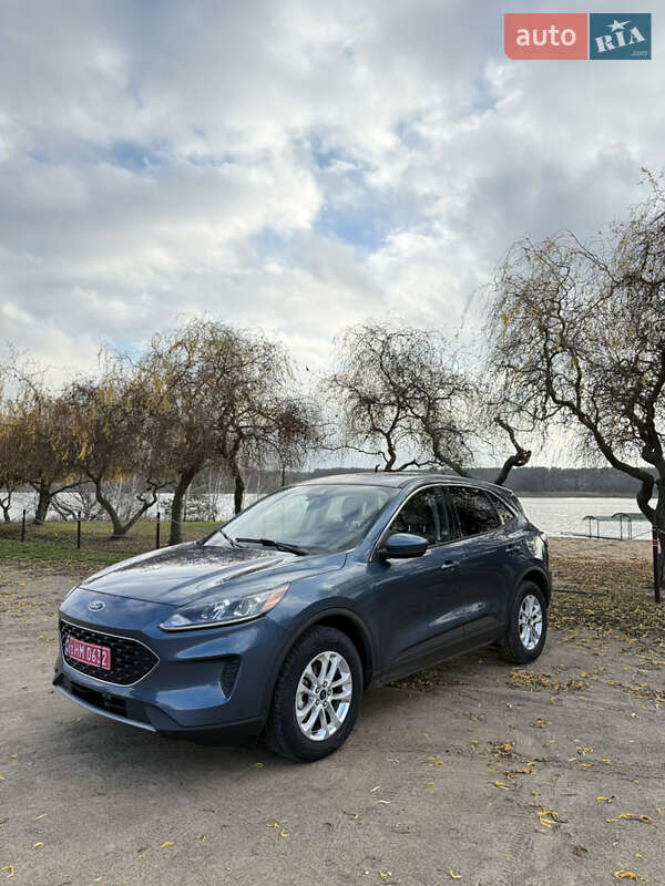 Внедорожник / Кроссовер Ford Escape 2020 в Джулинке фото 3 Внедорожник / Кроссовер Ford Escape 2020 в Джулинке