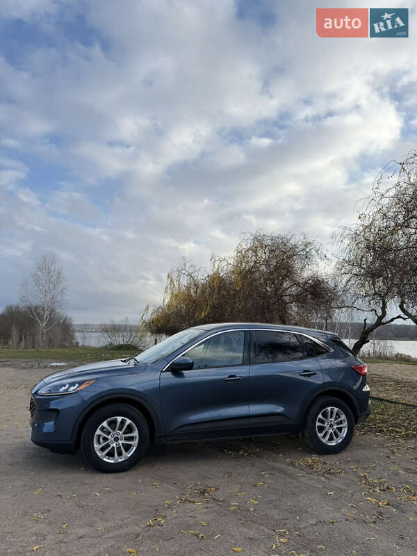 Внедорожник / Кроссовер Ford Escape 2020 в Джулинке фото 4 Внедорожник / Кроссовер Ford Escape 2020 в Джулинке