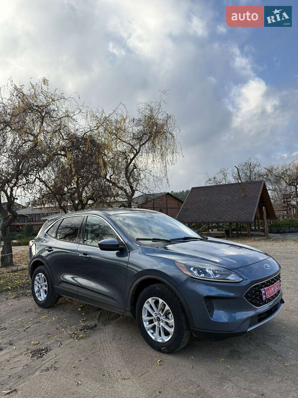 Внедорожник / Кроссовер Ford Escape 2020 в Джулинке фото 12 Внедорожник / Кроссовер Ford Escape 2020 в Джулинке