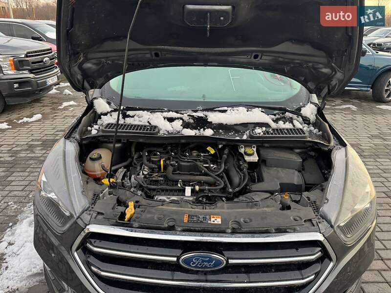 Внедорожник / Кроссовер Ford Escape 2018 в Львове фото 18 Внедорожник / Кроссовер Ford Escape 2018 в Львове