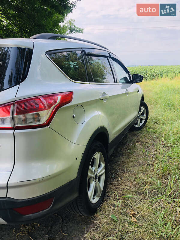 Внедорожник / Кроссовер Ford Escape 2013 в Бердичеве фото 22 Внедорожник / Кроссовер Ford Escape 2013 в Бердичеве