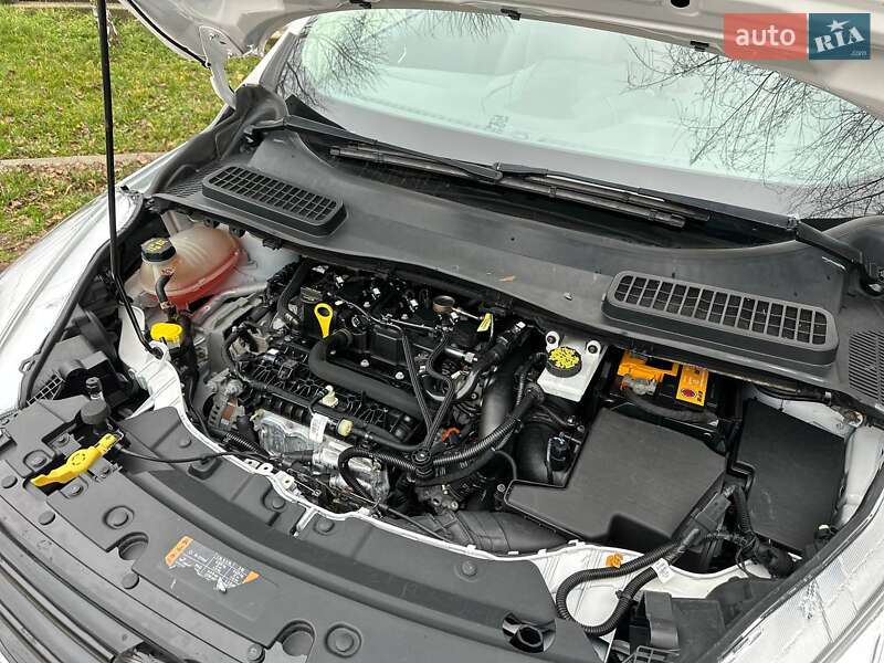 Внедорожник / Кроссовер Ford Escape 2019 в Черновцах